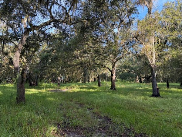 1284 NE RIVER MILL DRIVE , ARCADIA, FL 34266