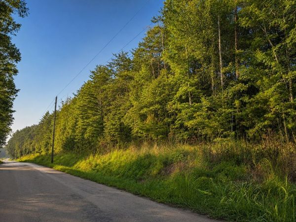 0 Three Point Rd , Unit 1, Tellico Plains, TN 37385