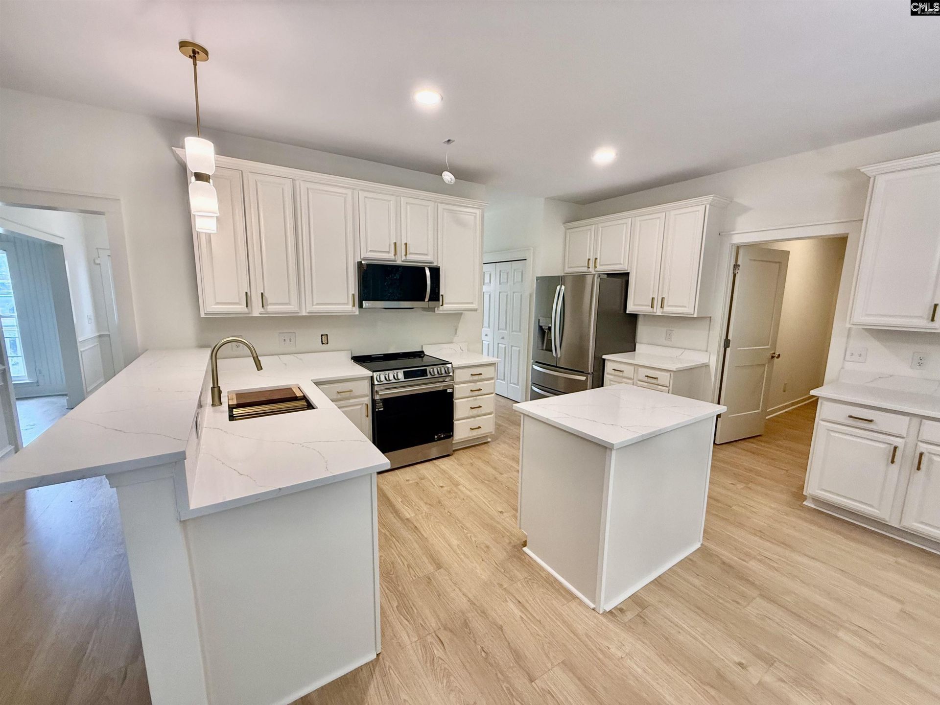 161 Longtown Place Drive Photo 8