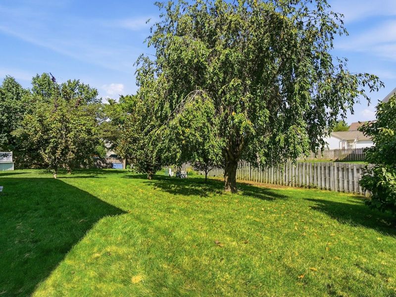 7246 Sunfoil Court, Reynoldsburg, OH 43068 Photo 41
