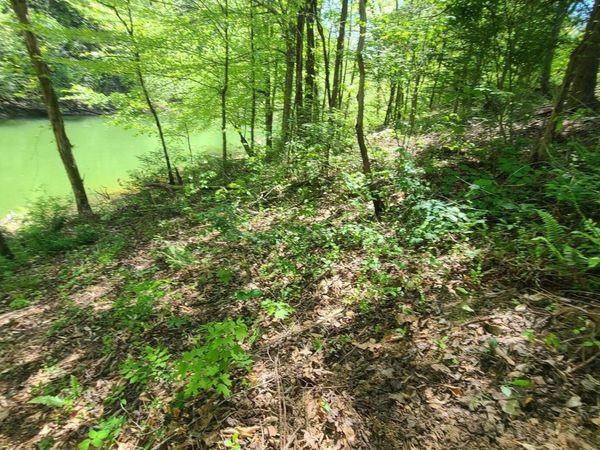 Lot 117A Claiborne Rd , LaFollette, TN 37766
