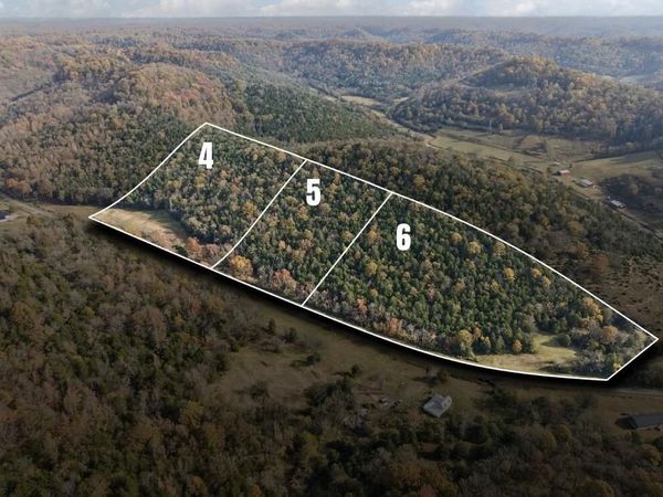 0 Club Springs Rd, Lot 4-6, Elmwood, TN 38560
