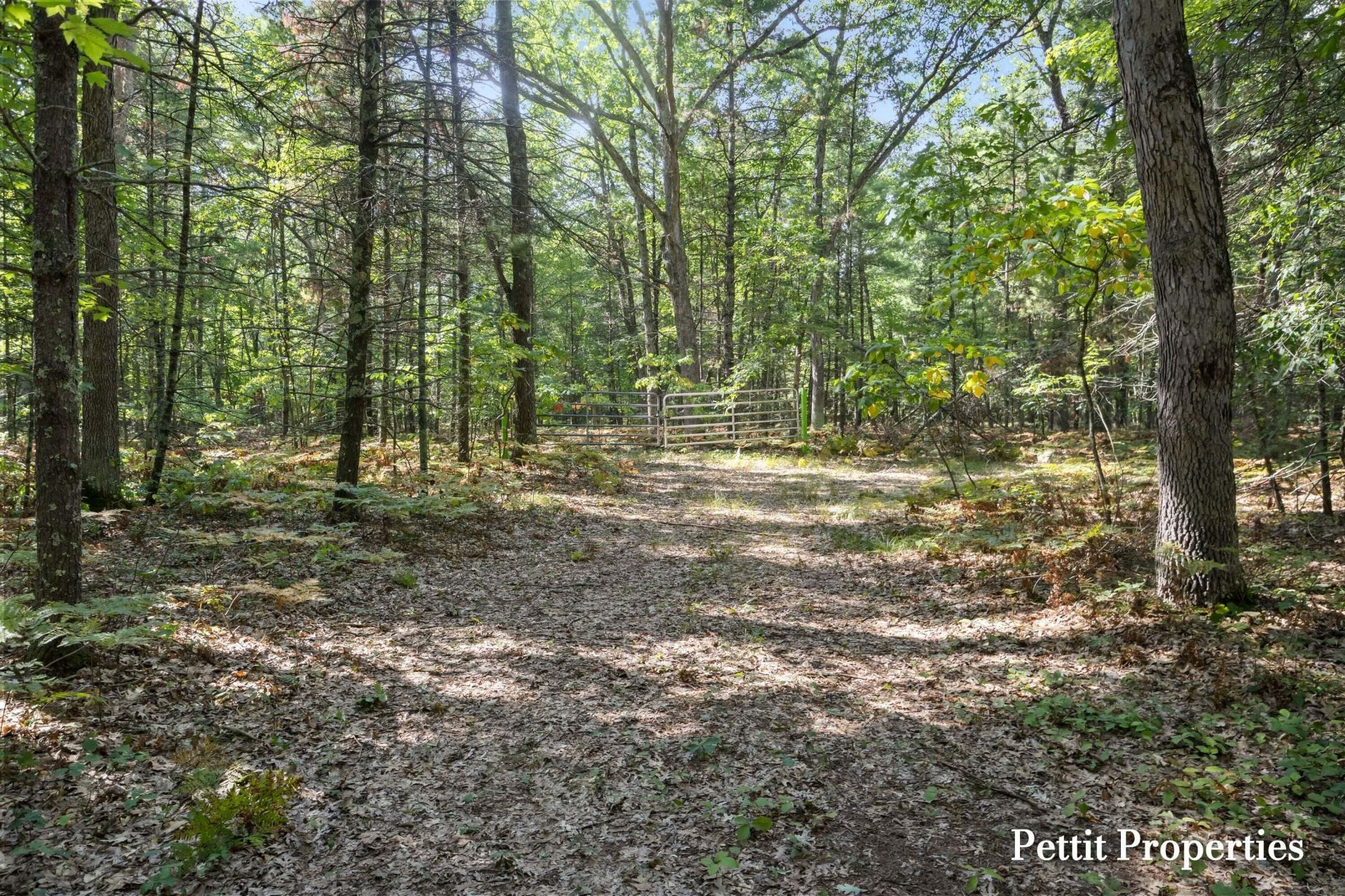V/l S 142nd Avenue, Rothbury, MI 49452 Main Photo