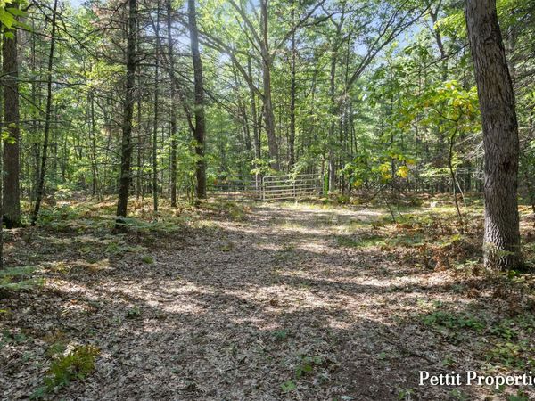v/l S 142nd Avenue, Rothbury, MI 49452