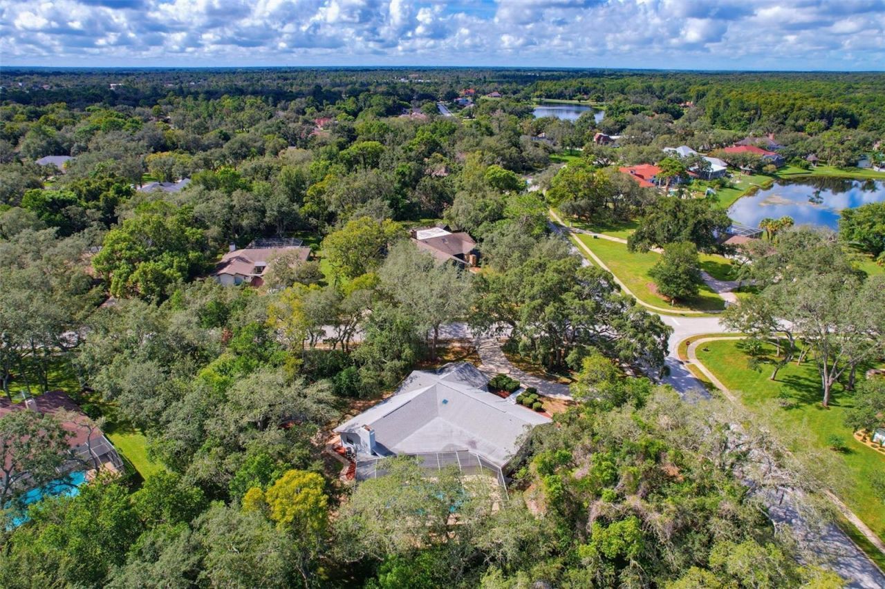 7256 Royal Oak Drive, Spring Hill, FL 34607 Photo