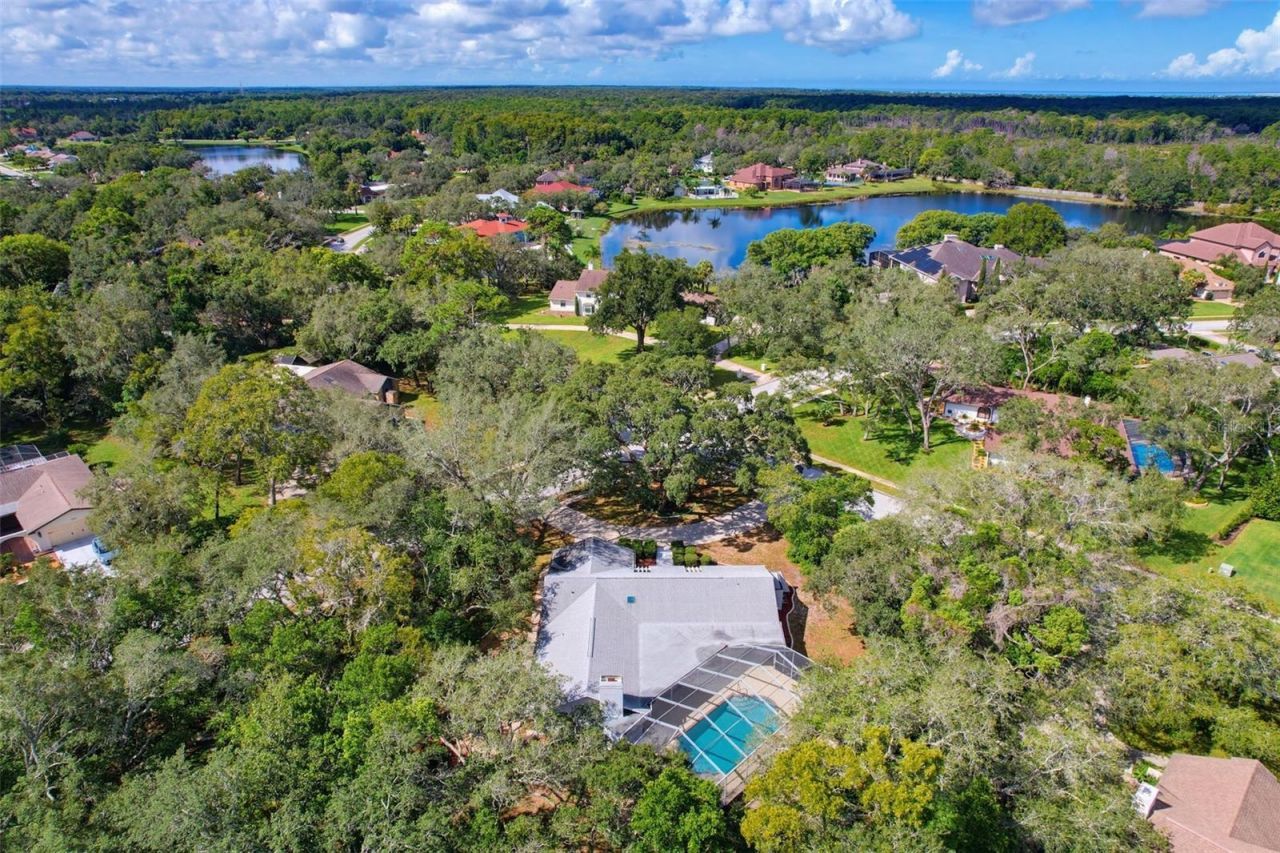 7256 Royal Oak Drive, Spring Hill, FL 34607 Photo