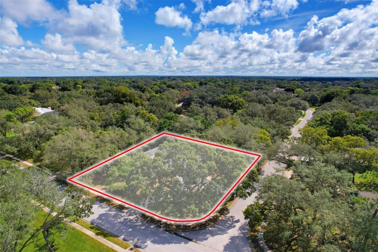 7256 Royal Oak Drive, Spring Hill, FL 34607 Photo