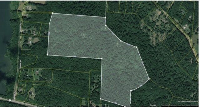 0 Wildlife Road , Dover, TN 37058 Main Photo
