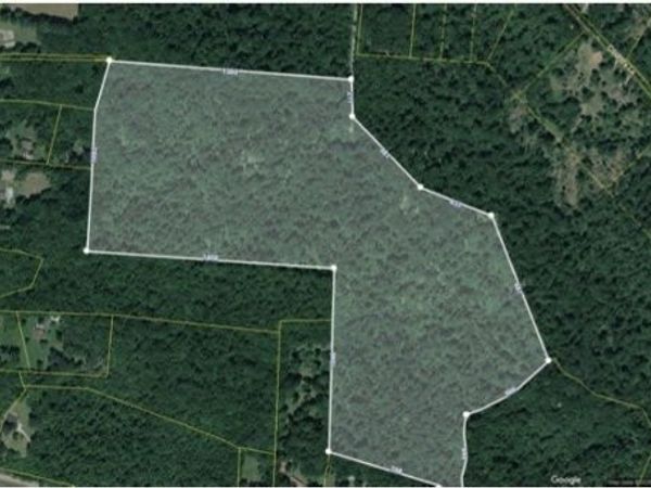 0 Wildlife road , Dover, TN 37058