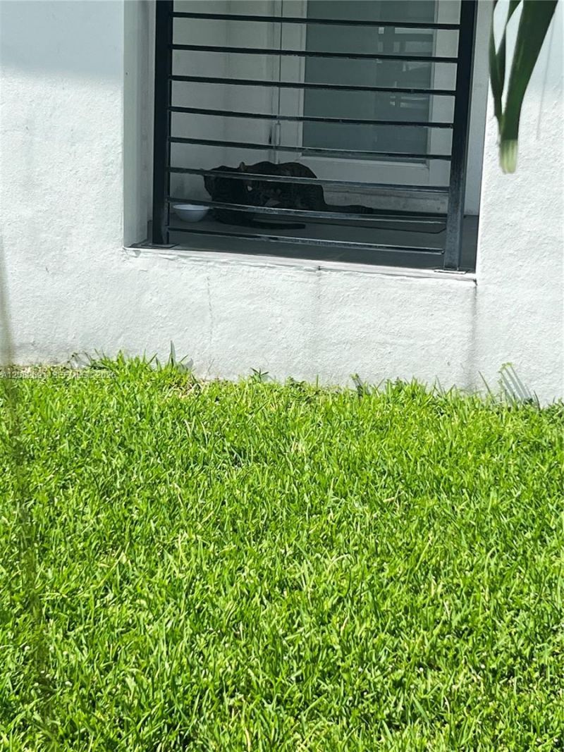 15 NW 52nd St , Miami, FL 33127 Photo