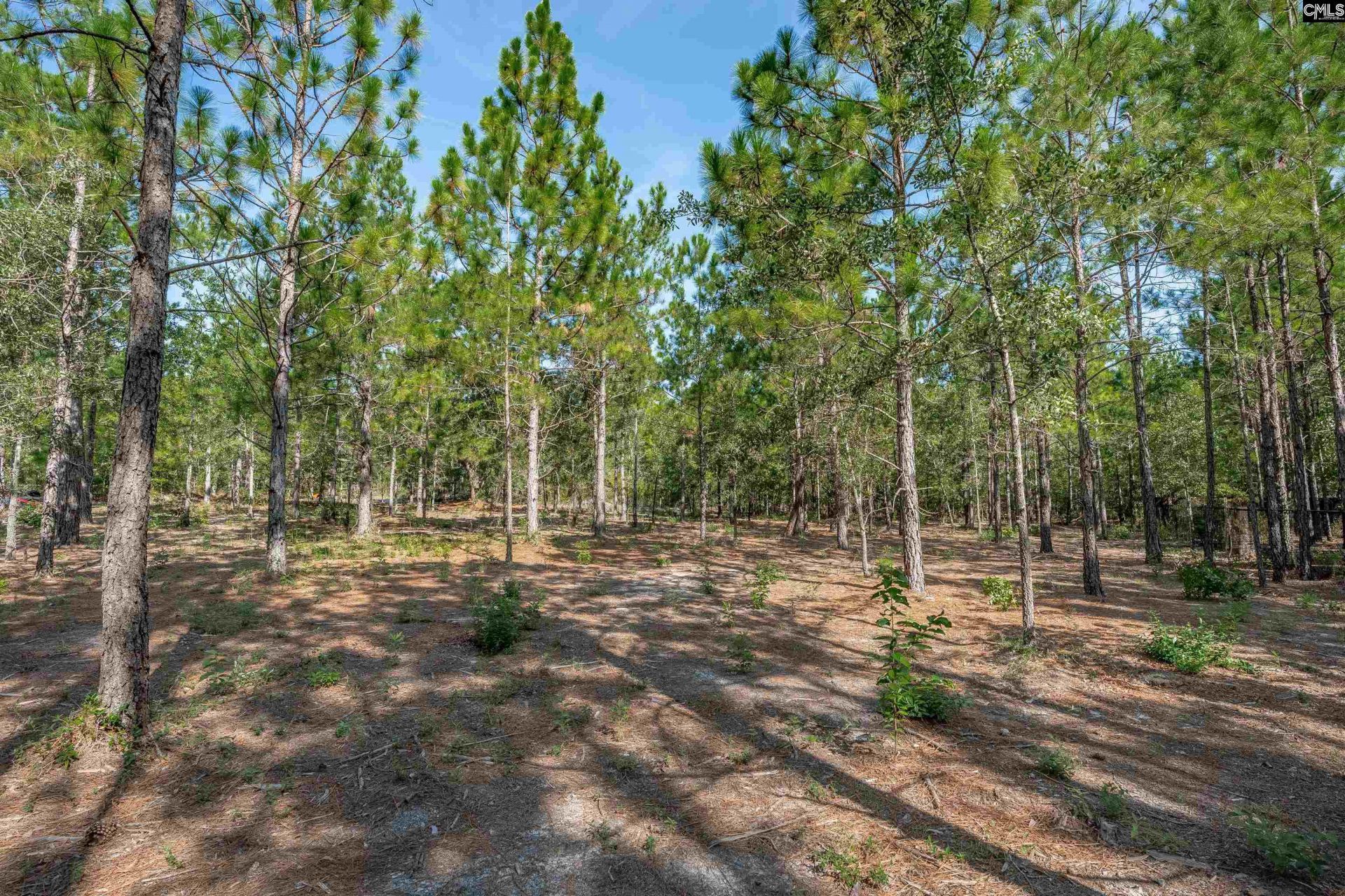 2058 Green Hill Road  Photo 42