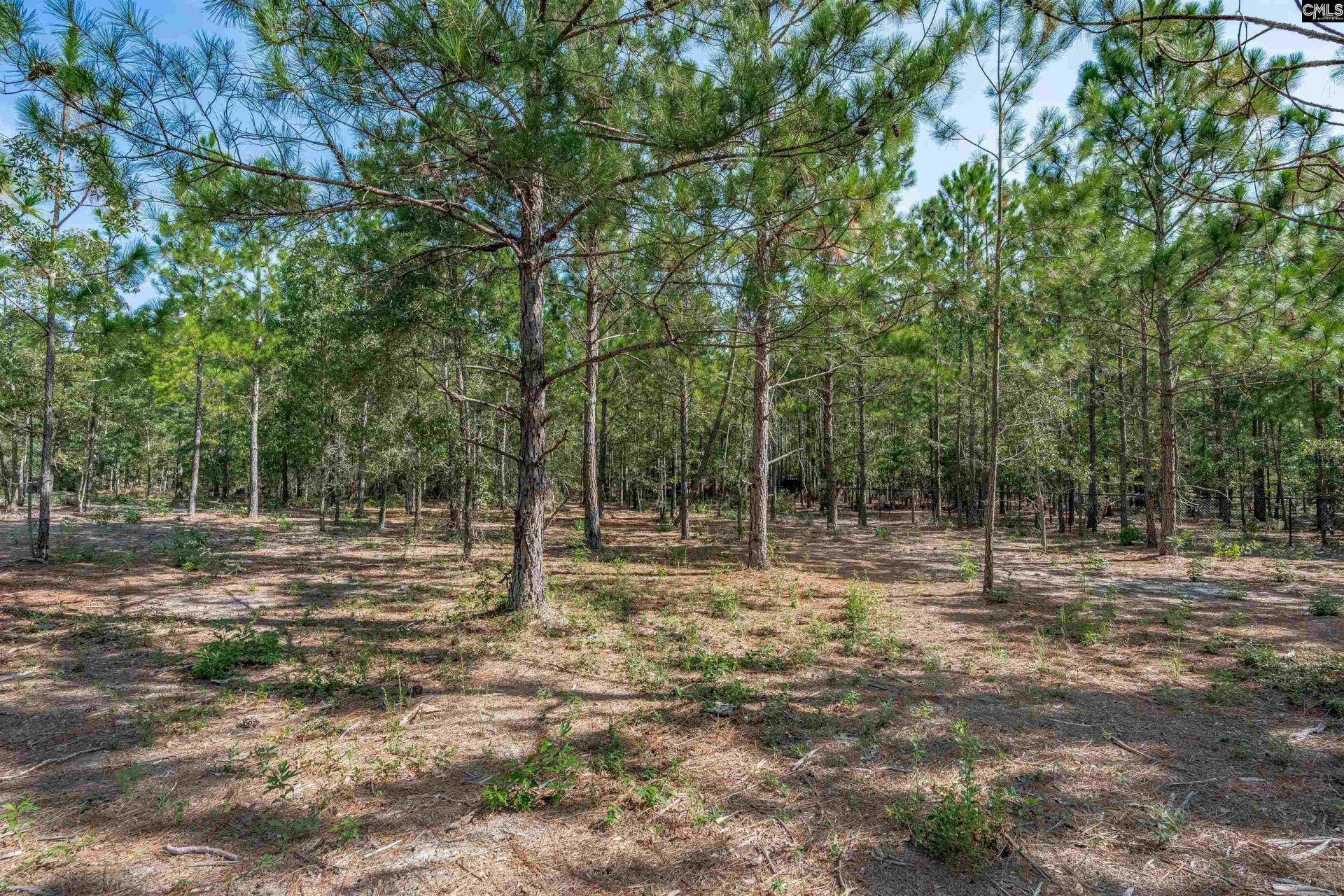 2058 Green Hill Road  Photo 43