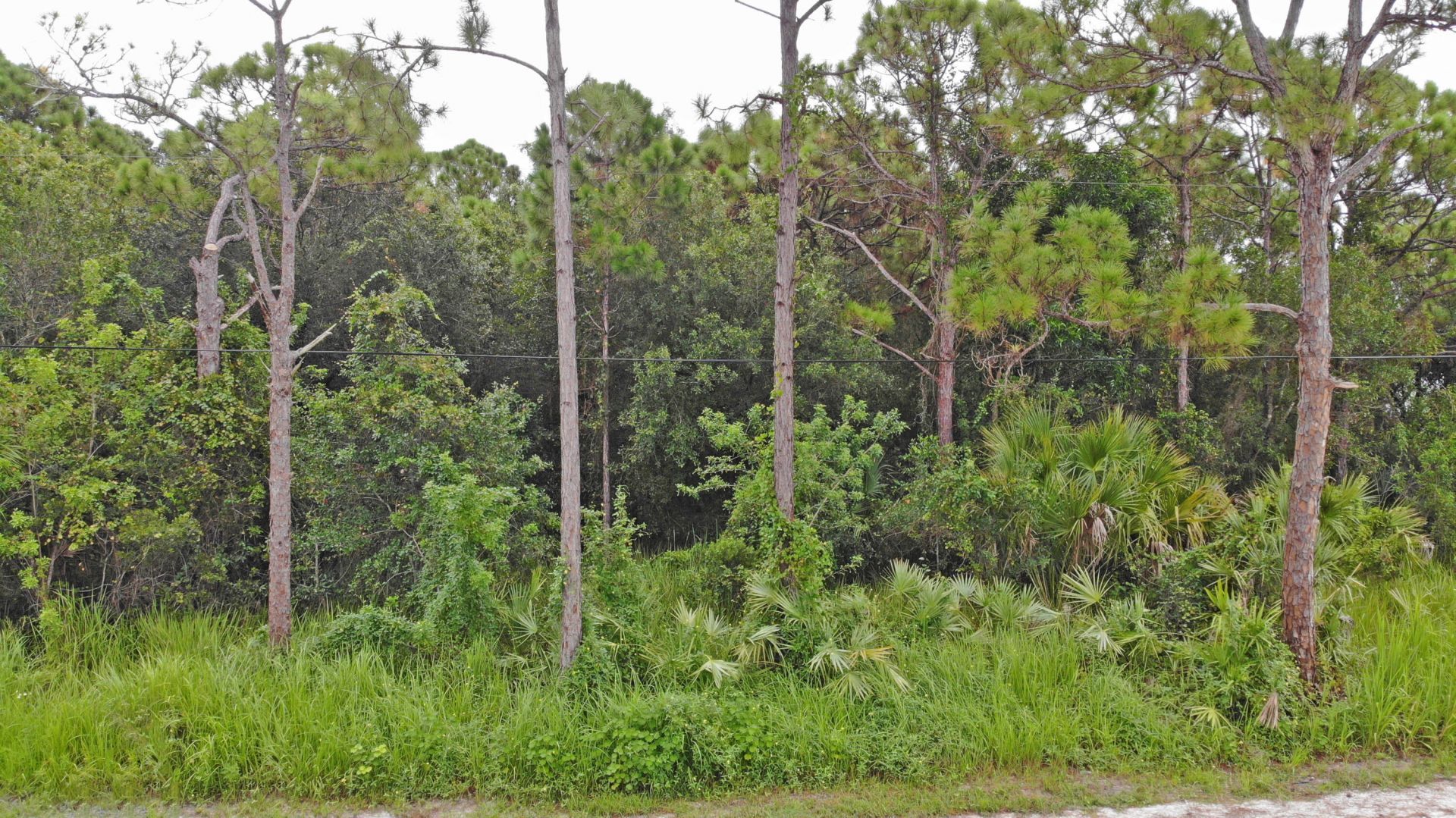 Tbd Shanas Trail, Fort Pierce, FL 34952 Photo