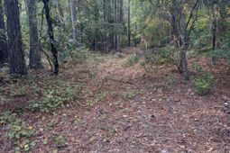 1336 Colie Branham Road photo 4