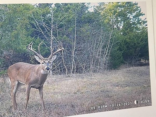 0000 CR 2374 , Detroit, TX 75436