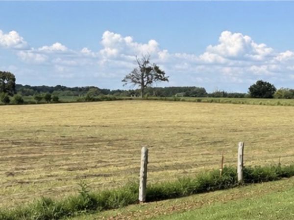 4142 Yager Rd , McMinnville, TN 37110
