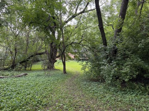 Main Photo