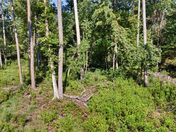 000 Welcome Home Road , Hector, AR 72843