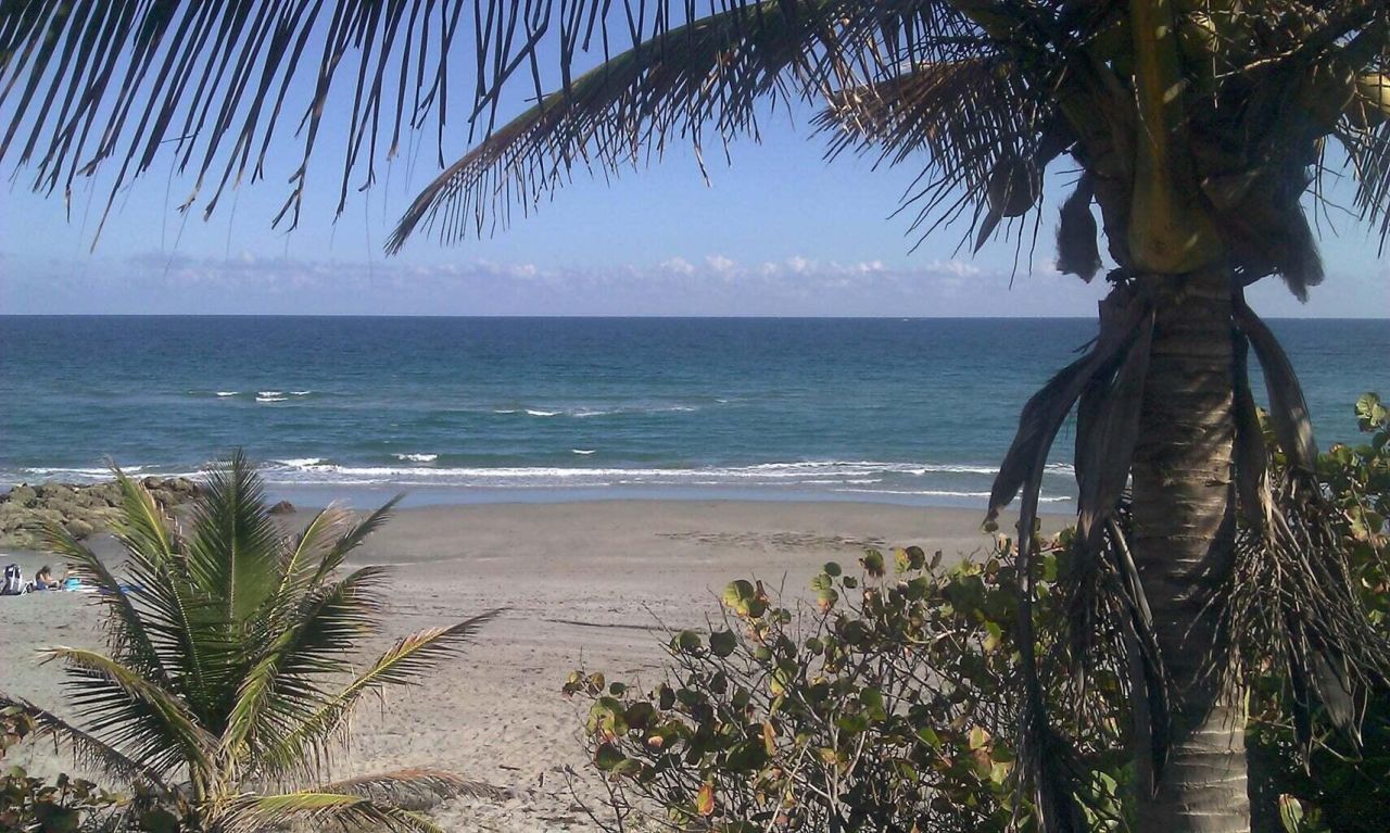11 SW 4th Avenue, Unit 1, Boca Raton, FL 33432 Photo