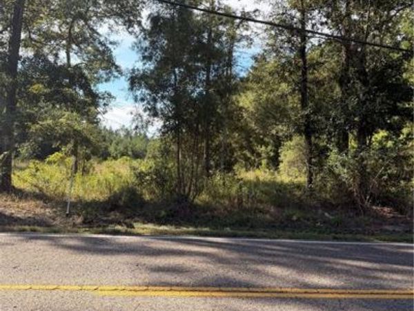 HWY 36 Highway, Abita Springs, LA 70420