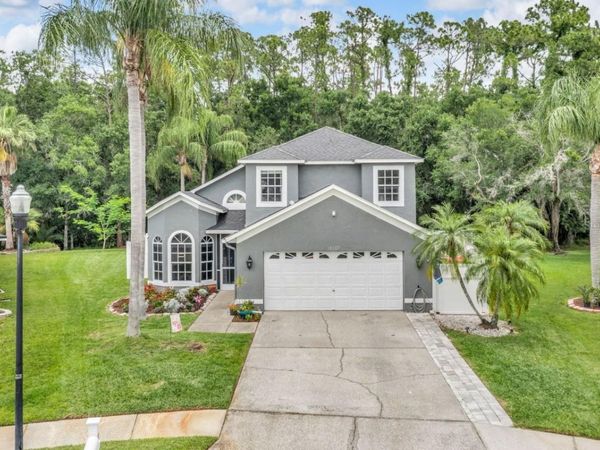 16107 WENTWORTH WAY , ODESSA, FL 33556