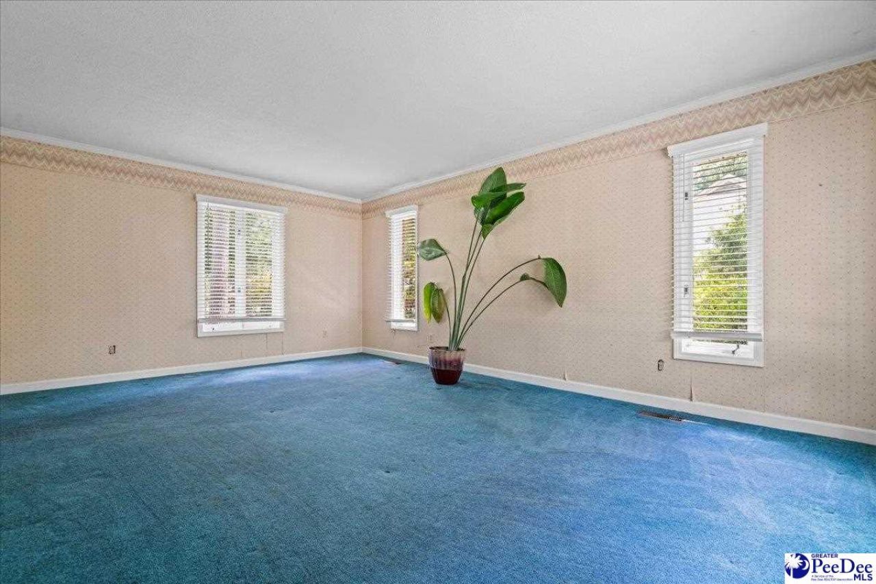 119 Alabama Dr Photo 39