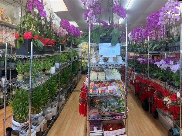 Westminster, Santa Ana, CA 92703