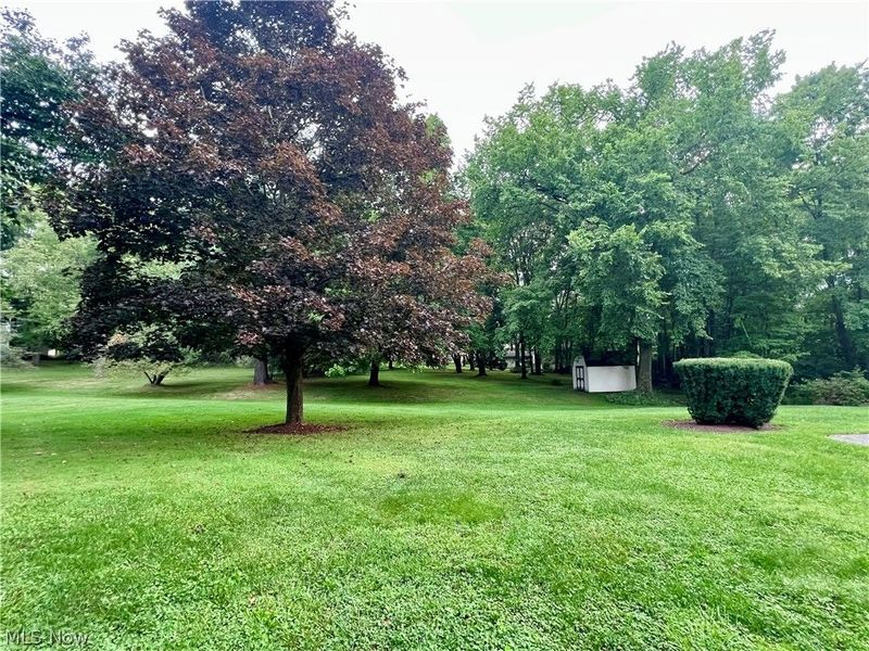 1373 Bell Road, Chagrin Falls, OH 44022 Photo 29