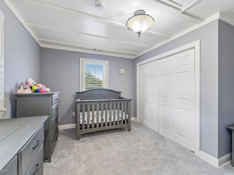 3035 Nagel Road, Avon, OH 44011 Photo 29