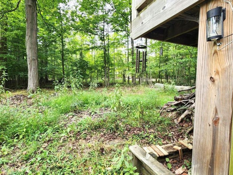 7344 Ballash Road, Medina, OH 44256 Photo 31