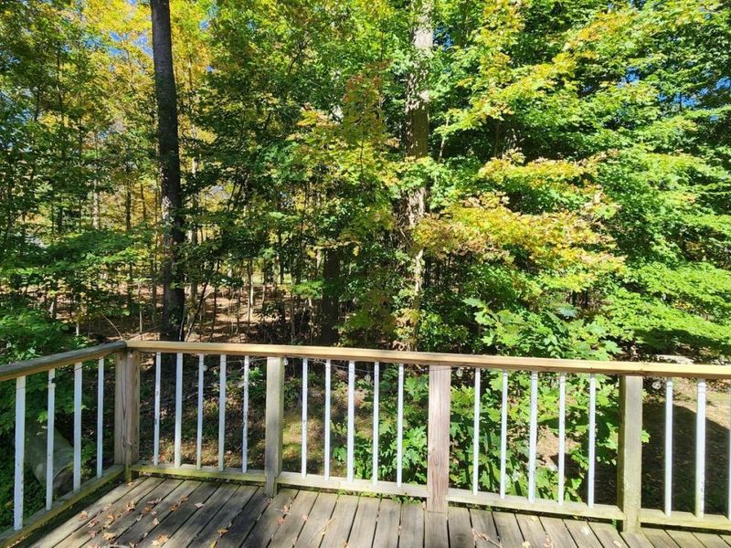 7344 Ballash Road, Medina, OH 44256 Photo 33