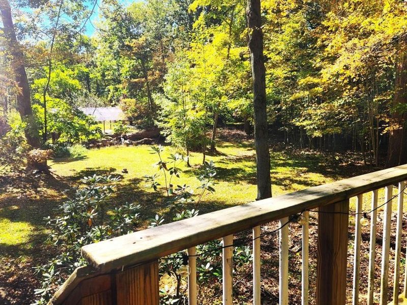 7344 Ballash Road, Medina, OH 44256 Photo 34