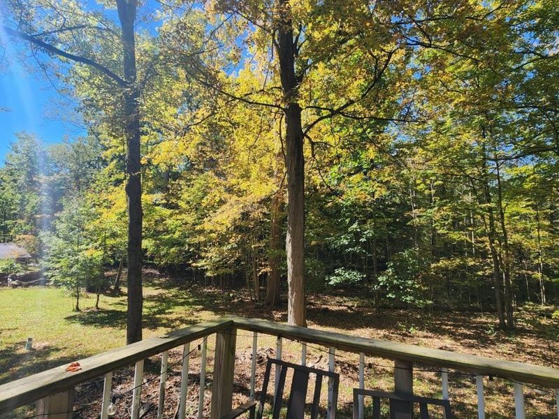 7344 Ballash Road, Medina, OH 44256 Photo 35