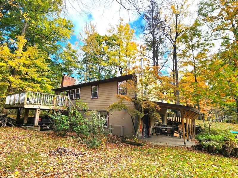 7344 Ballash Road, Medina, OH 44256 Photo 46