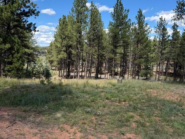 1396 Roberts Ranch Road, Woodland Park, CO 80863
