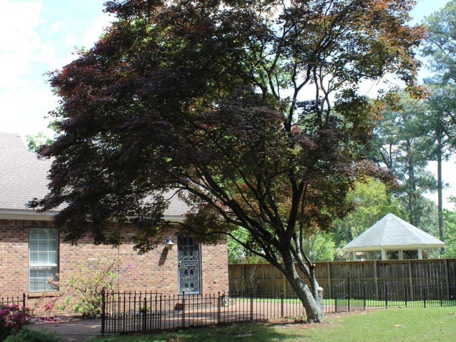 Property Image 43