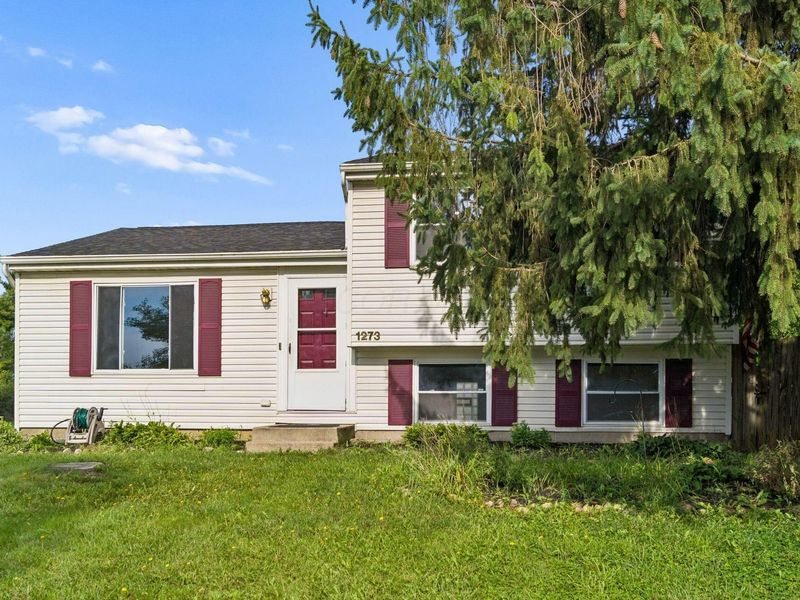 1273 Winesap Drive, Columbus, OH 43204 Photo 37