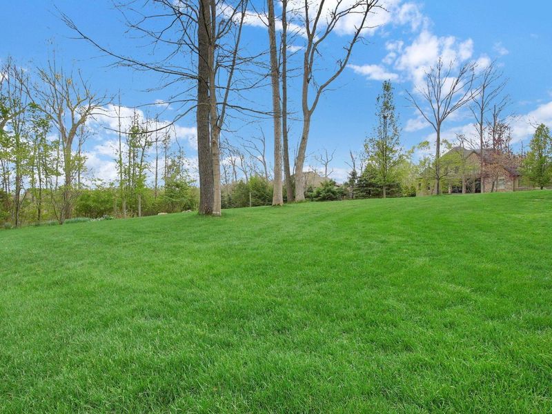 1551 Riverwood Lane, Powell, OH 43065 Photo 61