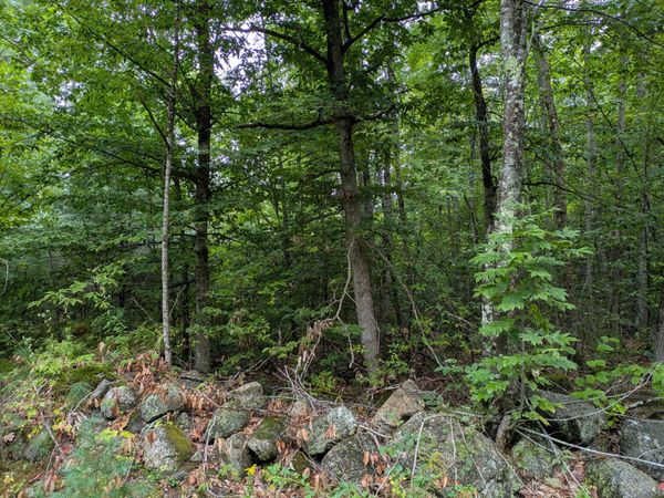 135 Old Country Way , Limerick, ME 04048