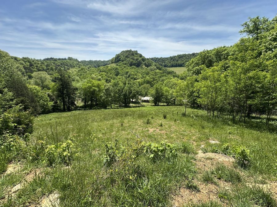 Property Image 51
