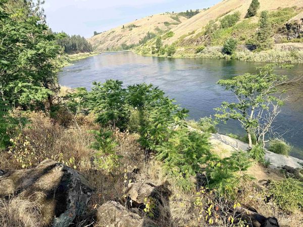 TBD 17.49 Acres Hwy 12, Lenore, ID 83541