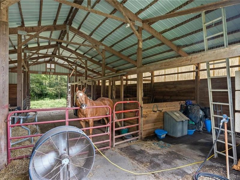 4585 S Dayton Brandt Road, New Carlisle, OH 45344 Photo 39