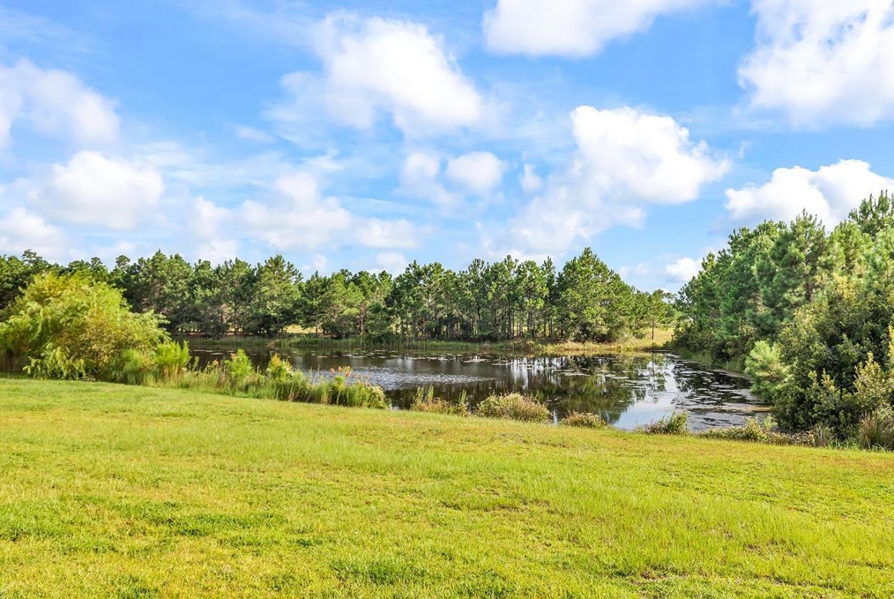 180 Sago Palm Dr.  Photo 40
