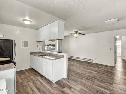 705 Jamaica Avenue, Unit APT 4, Reno, NV 89502 Photo