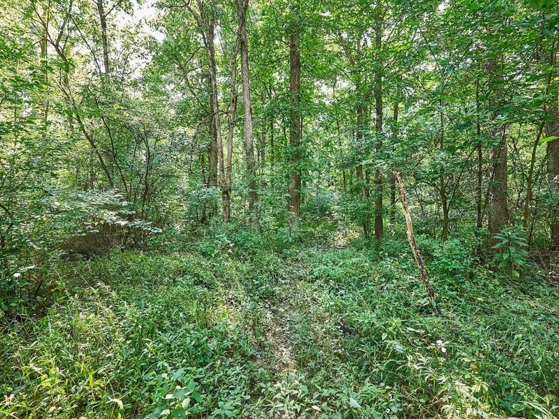 0 Ohio 95 , Bellville, OH 44813 Photo 16