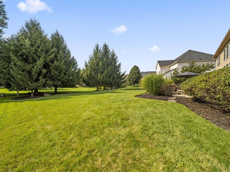 8302 Danbridge Way, Westerville, OH 43082 Photo 77