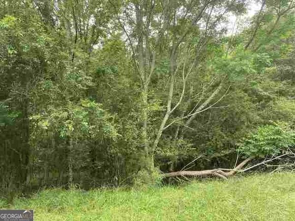 0 River Birch Lane, Unit TRACT 9, Colbert, GA 30628