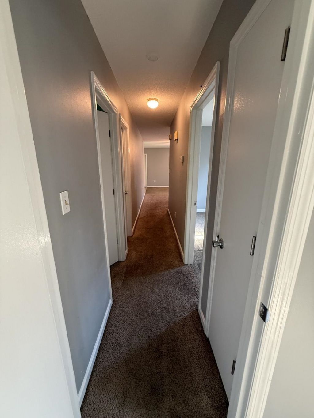 5718 Dogwood Circle Photo 31