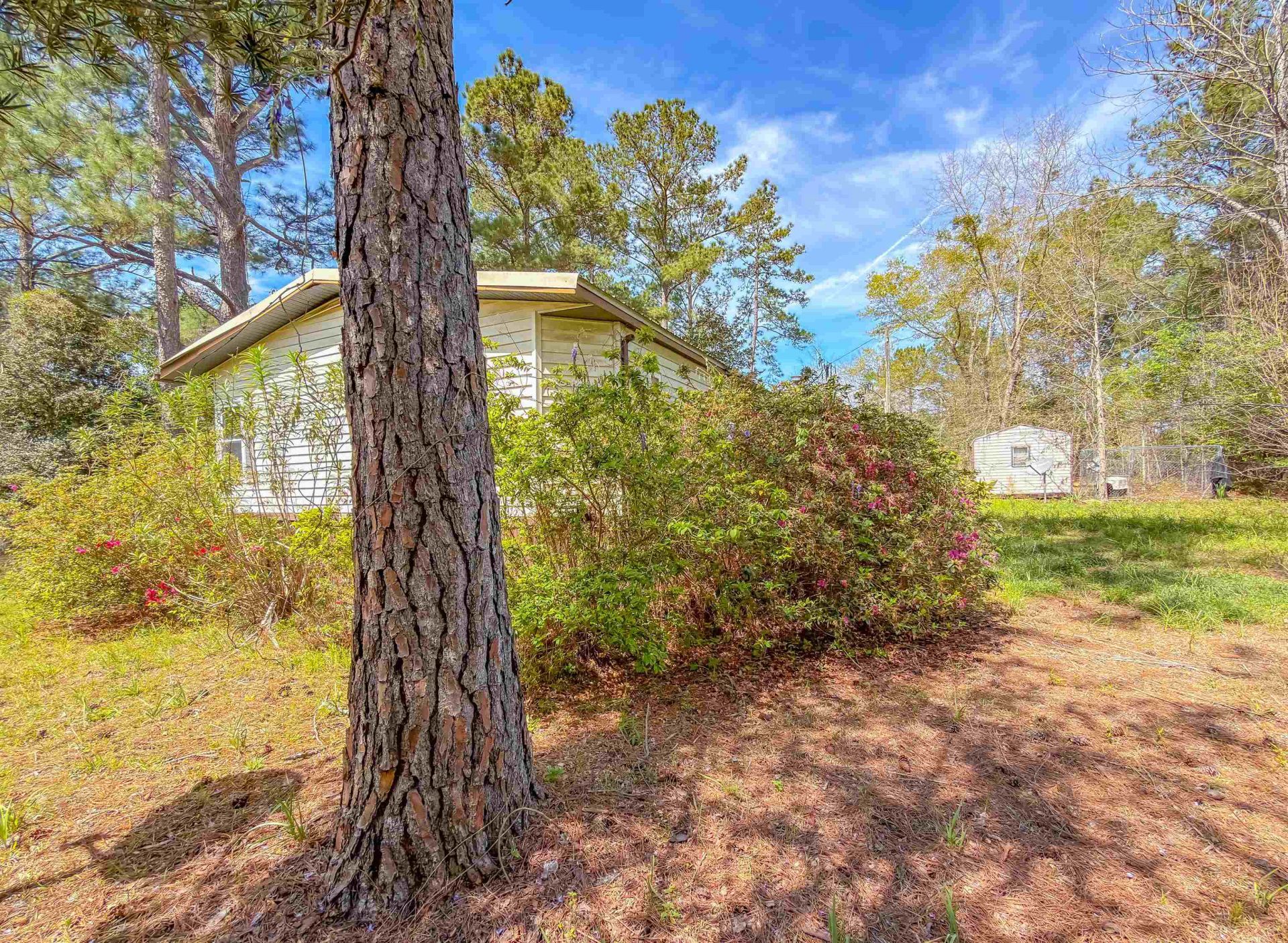 727 Adolphus Mcmillian Road , Chattahoochee, FL 32324 Photo
