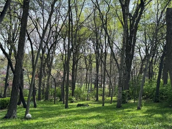 313 N Briarcliff Circle, Kansas City, MO 64116